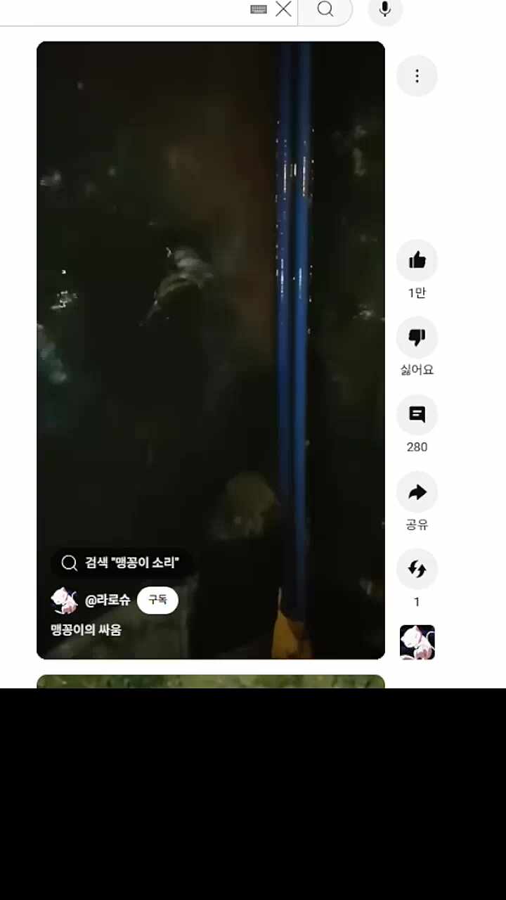 맹꽁이 더빙(?)하는 하룩또