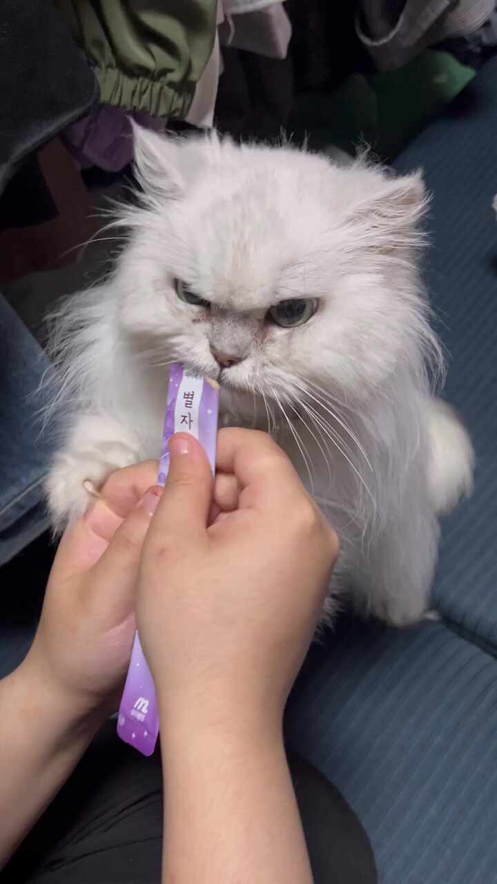 리뷰 사진 2