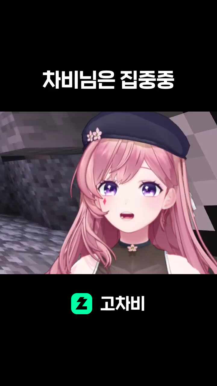 차비님은 집중중