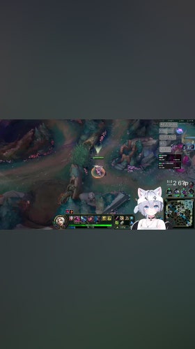 멘헤라캣