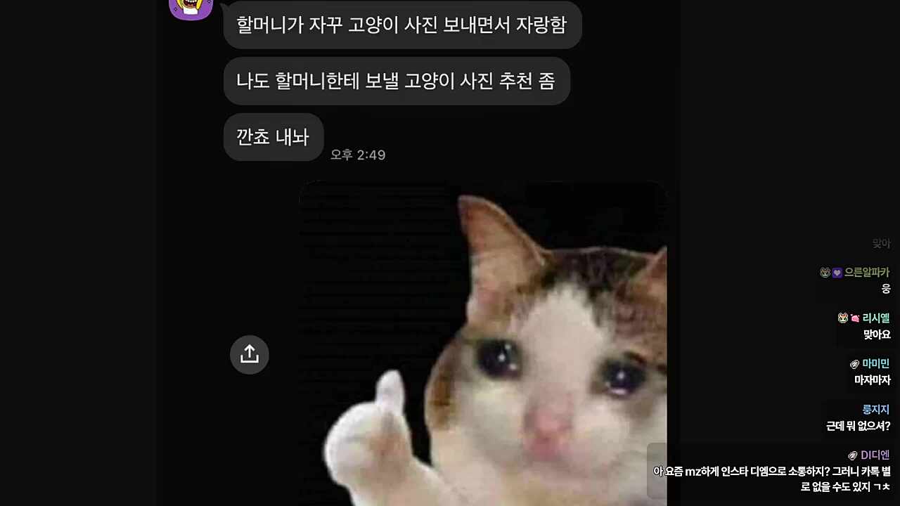 사부좌랑 나눈 카톡 보여주는 하루🐹