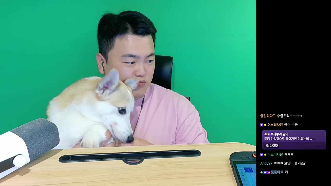 코난이 간식 먹방