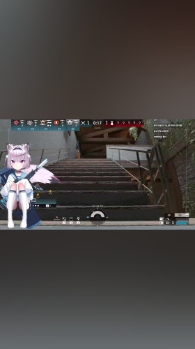 호이쨔 호이쨔