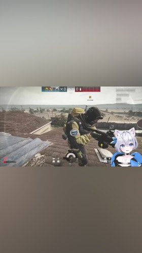 이지매캣