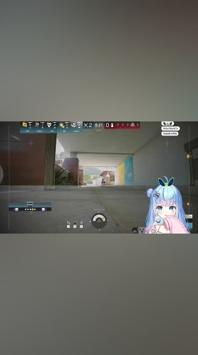 새단짝 담유이