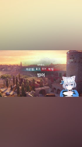 정서불안캣