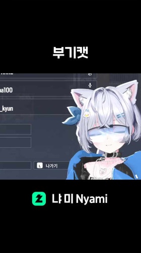 부기캣