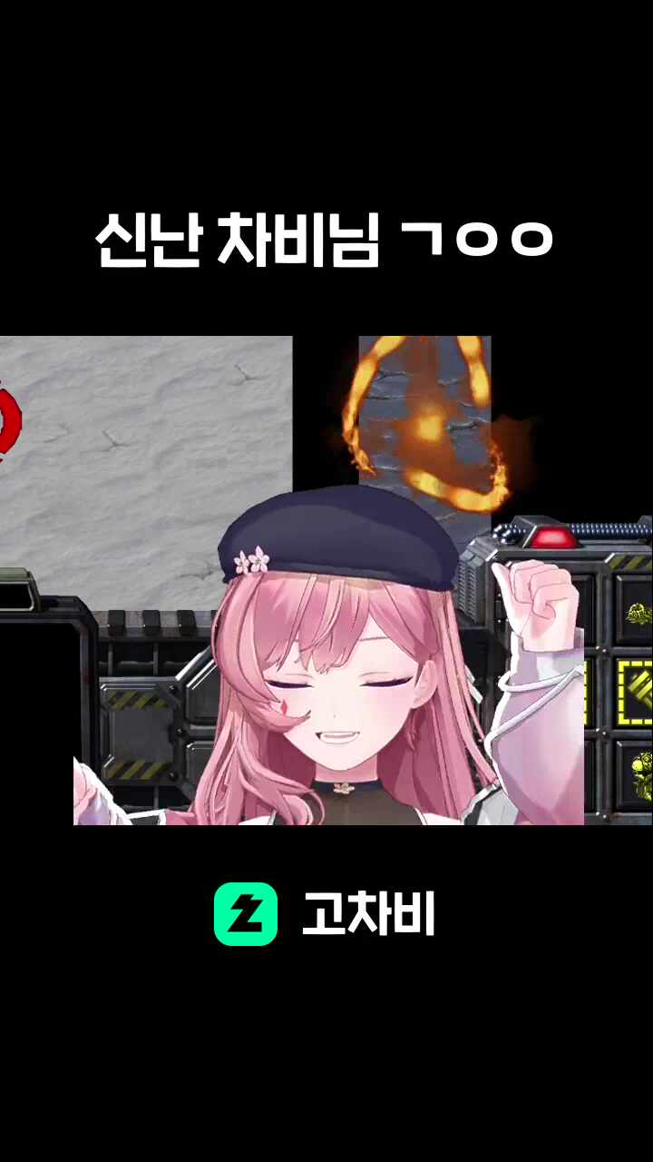 신난 차비님 ㄱㅇㅇ