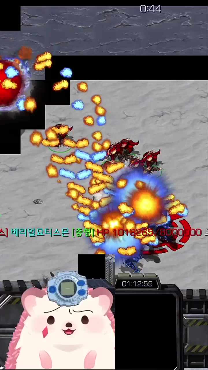 고차비 우승~~~~