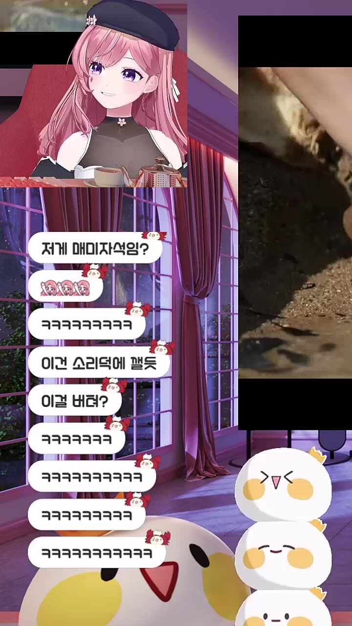 투명 찹차비가 울부짖었다