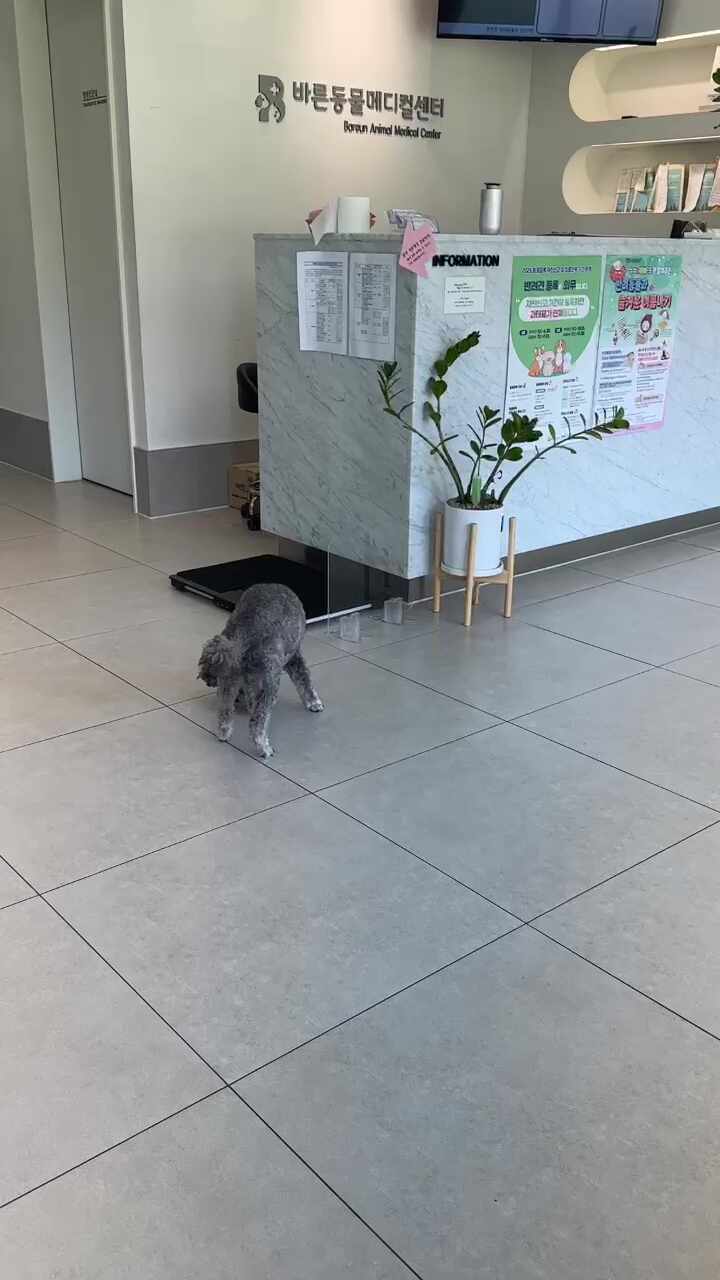 리뷰 사진 3