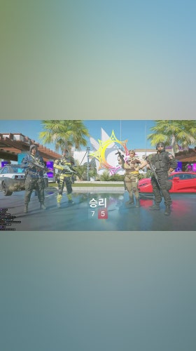 대띠용