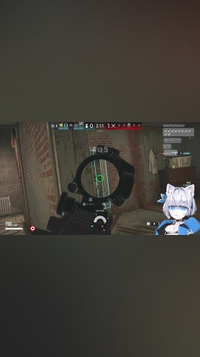 미친듯한 샷빨캣