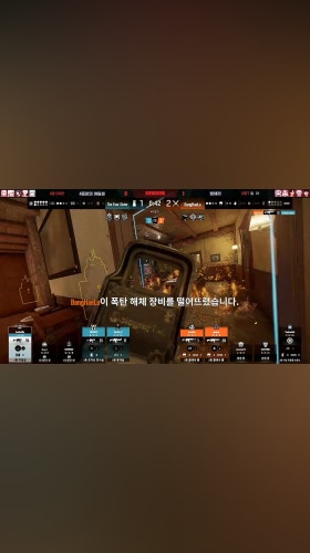 작업실을 지키던 엘리가