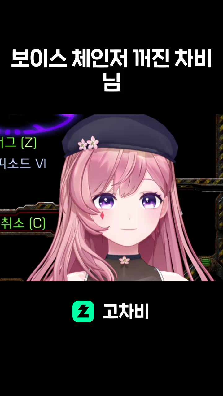 보이스 체인저 꺼진 차비님