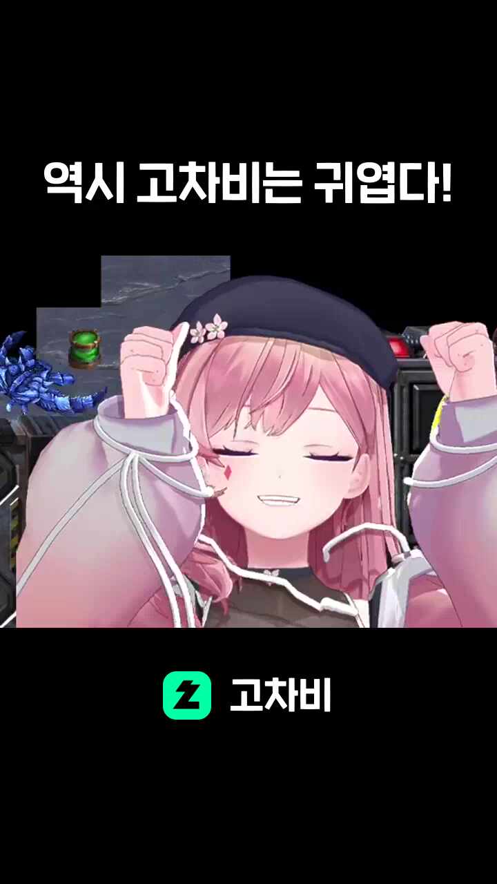 역시 고차비는 귀엽다!