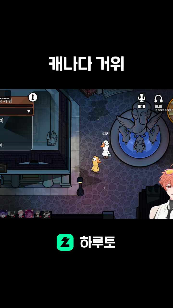 캐나다 거위