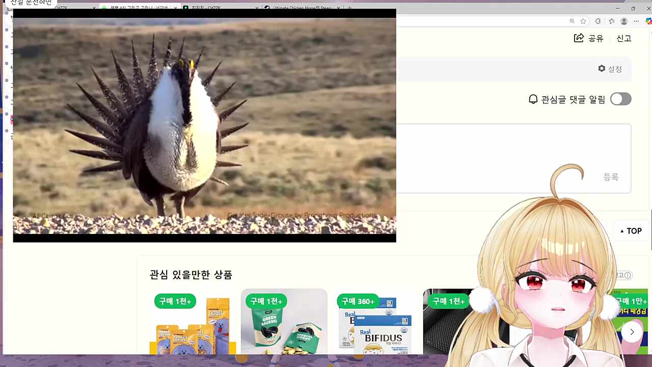 새박이....