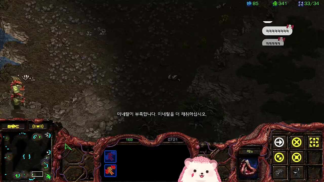 고라버니는 스타세대라구