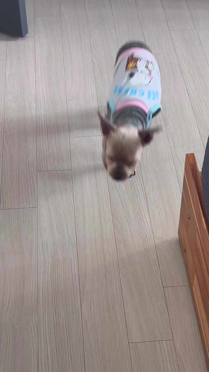 리뷰 사진 1