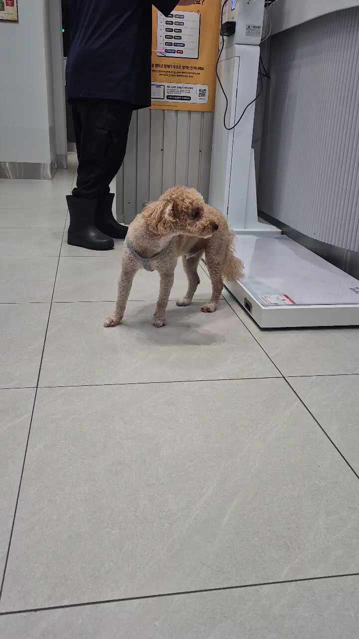 포레브동물의료센터 사진 2
