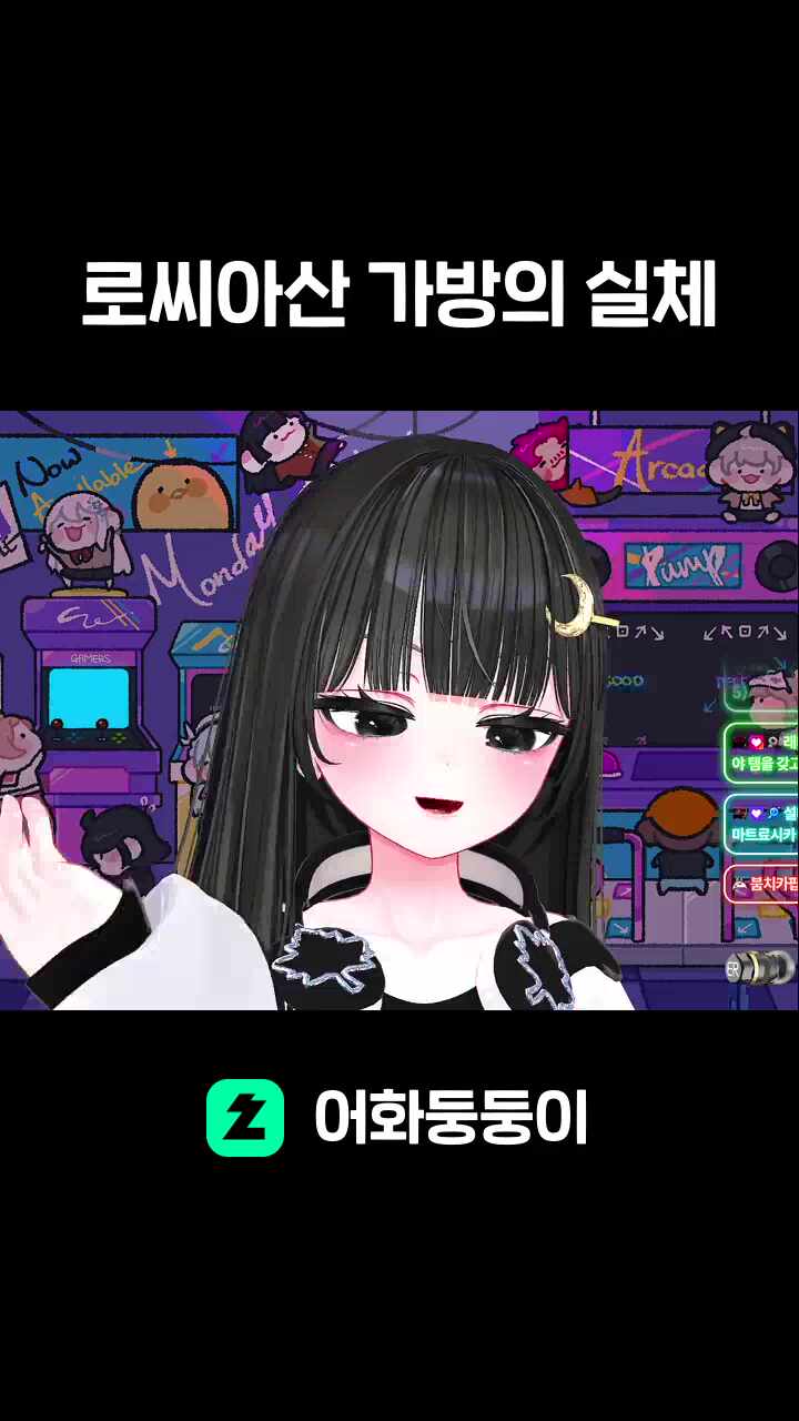 로씨아산 가방의 실체