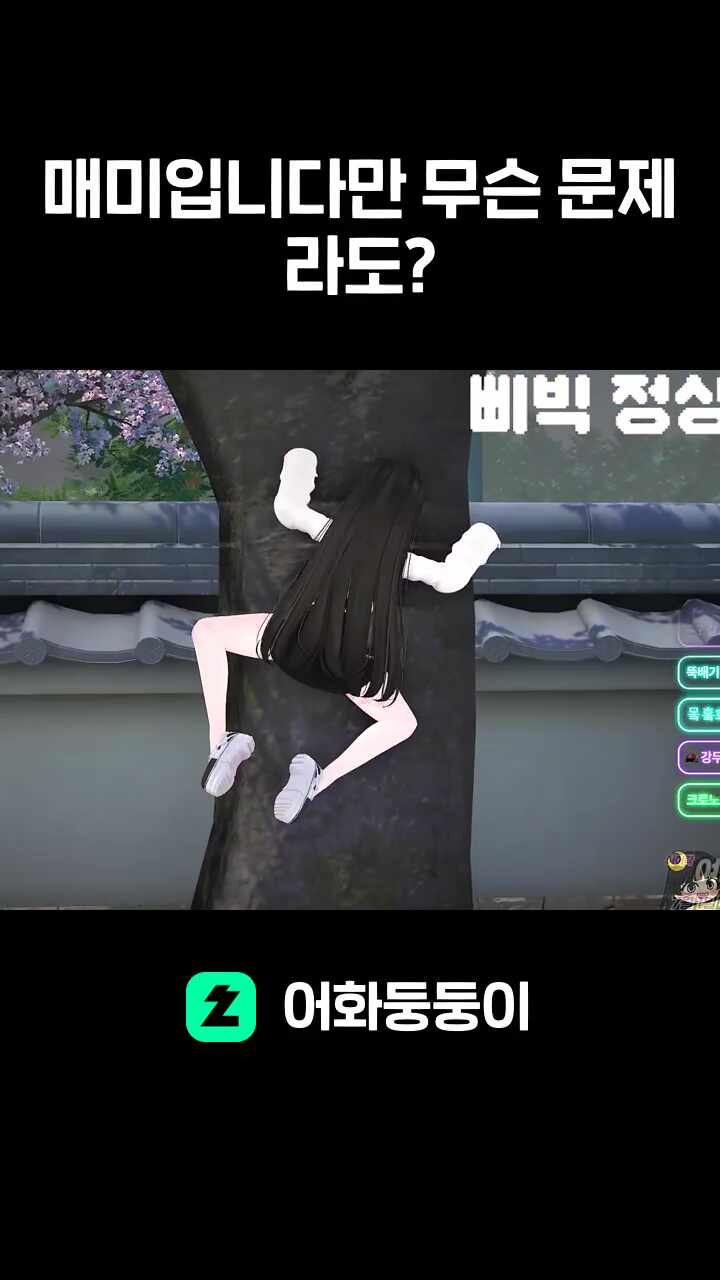 매미입니다만 무슨 문제라도?