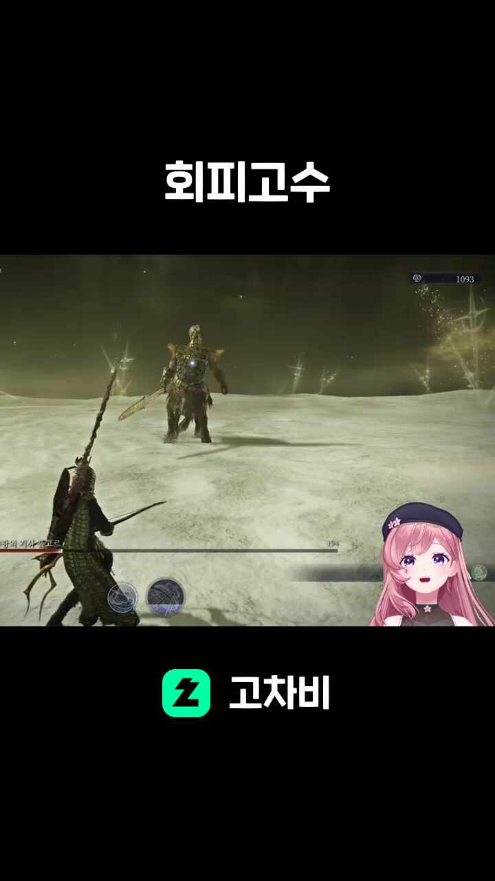회피고수