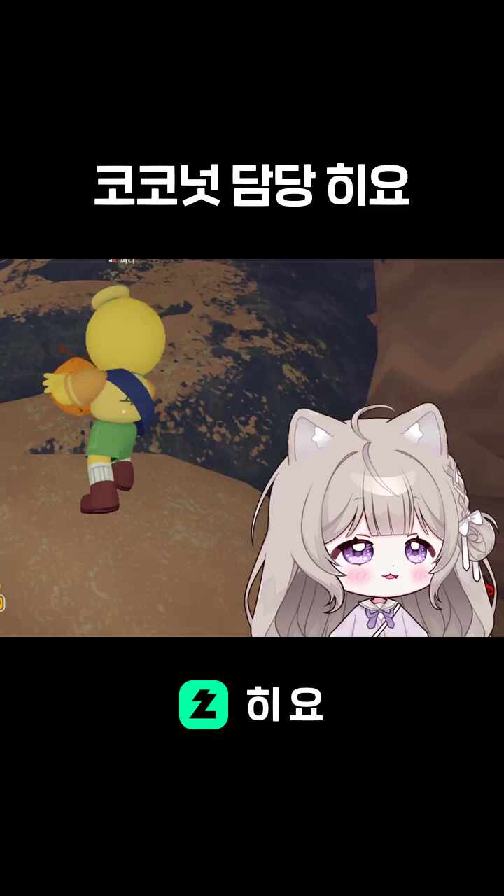 코코넛 담당 히요