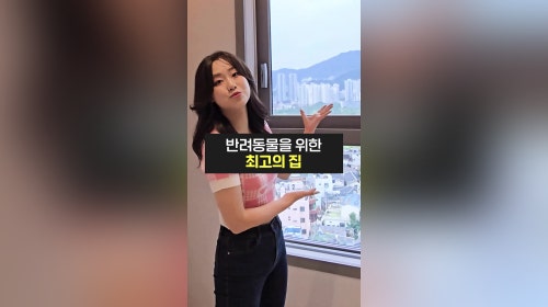 반려동물이 살기 좋은 집 찾는다면 여기!