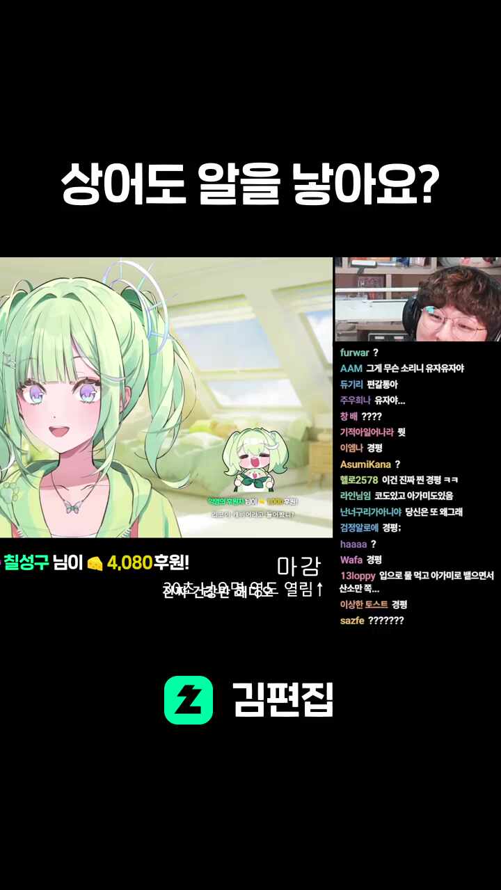 상어도 알을 낳아요?