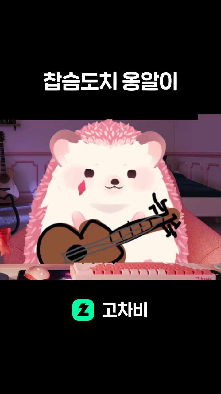 찹슴도치 옹알이