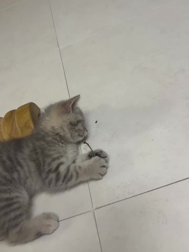 리뷰 사진 1
