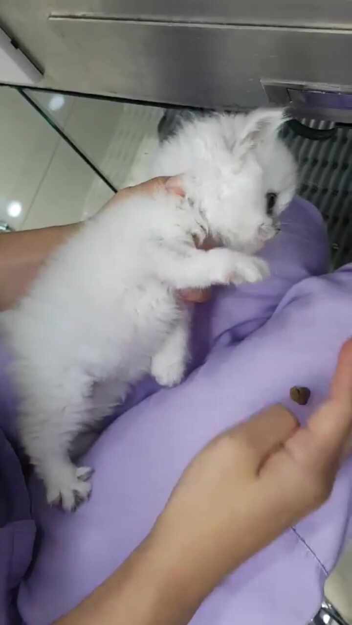 리뷰 사진 1