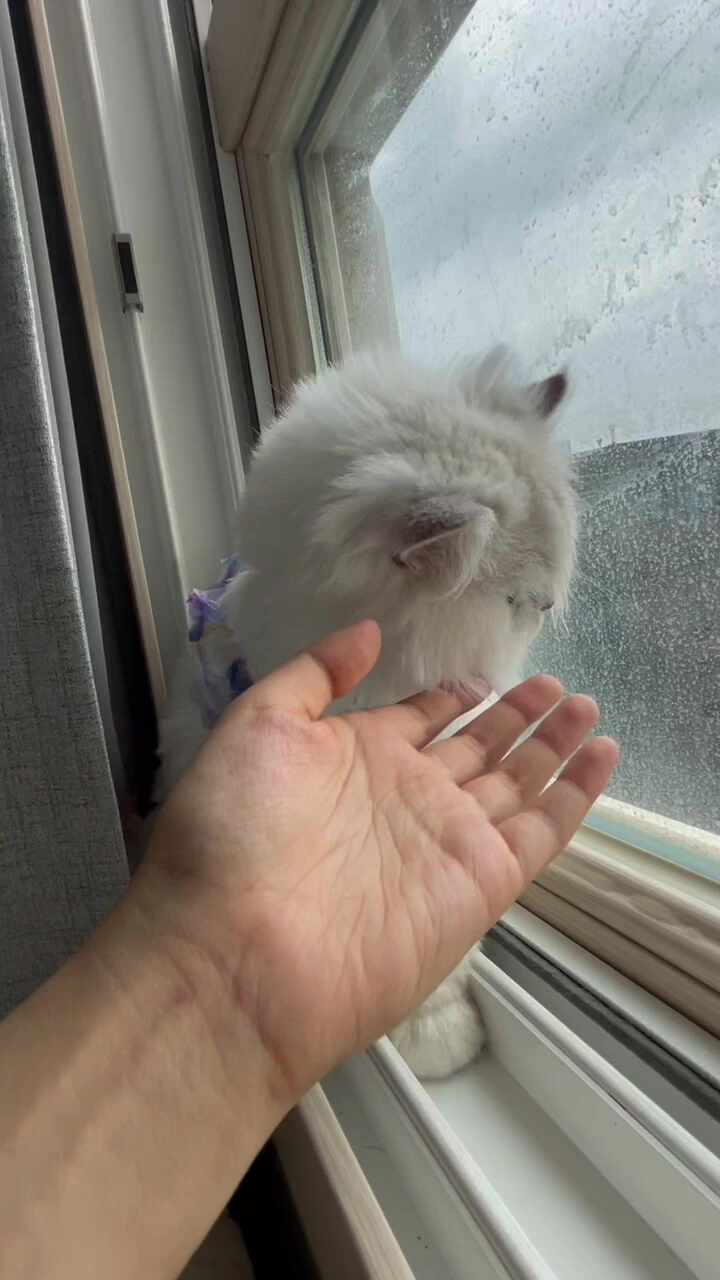 리뷰 사진 3