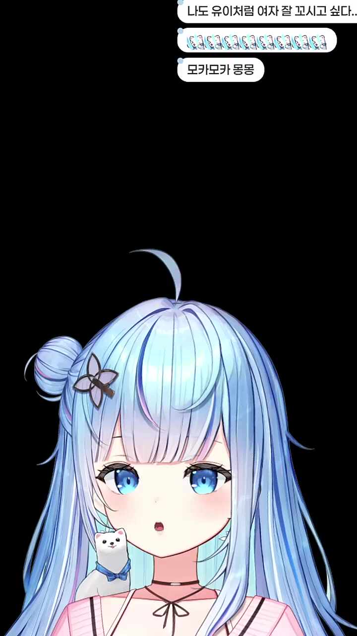 모카몽