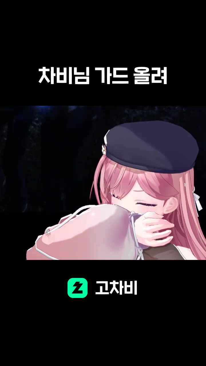 차비님 가드 올려