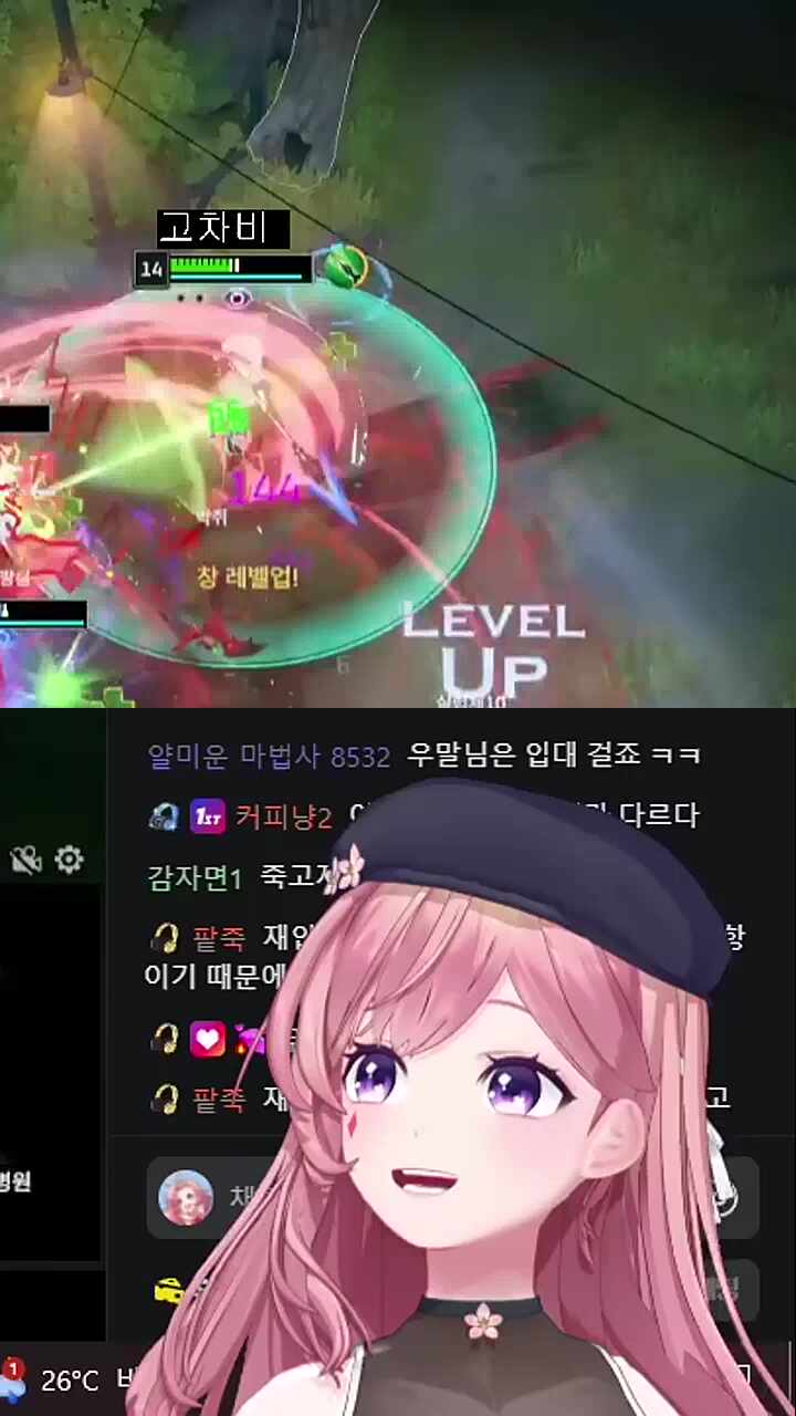 이터 파티에서 활약중인 차비님