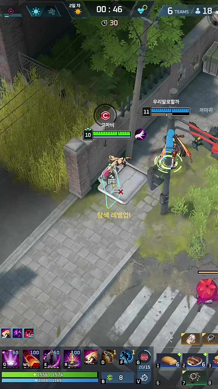 포메라이온?