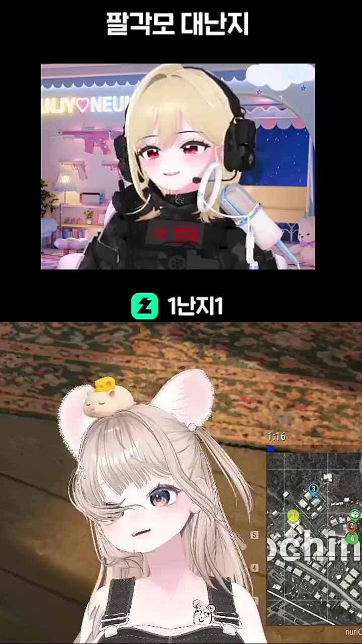 파아알각모!! 팔각모!!
