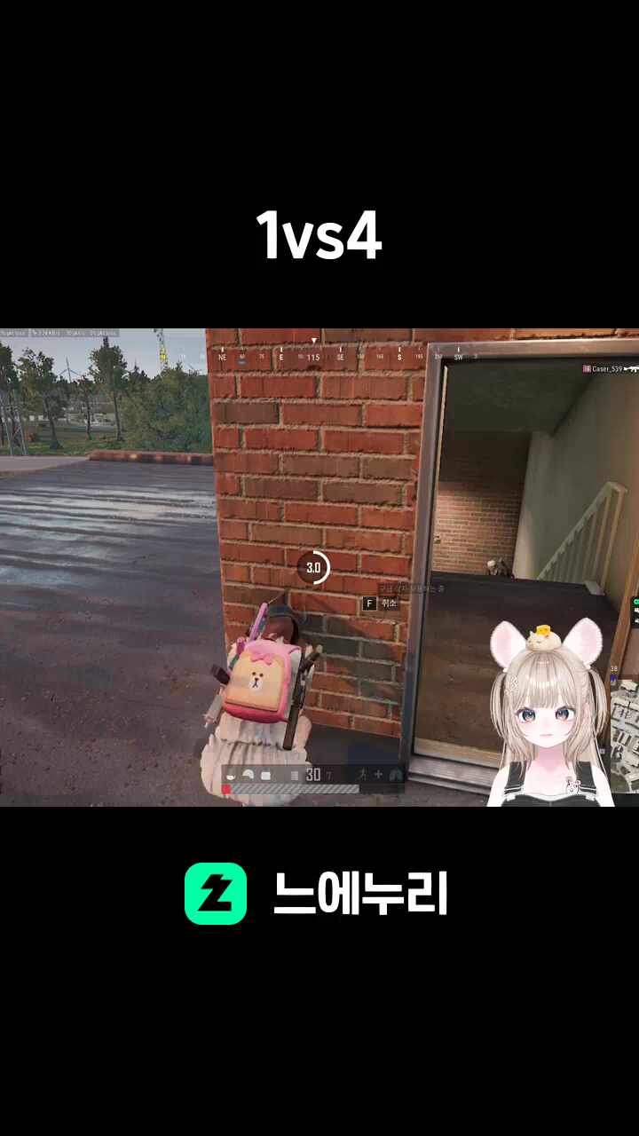 1vs4