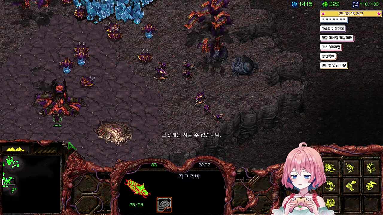에스 아니야 디디디