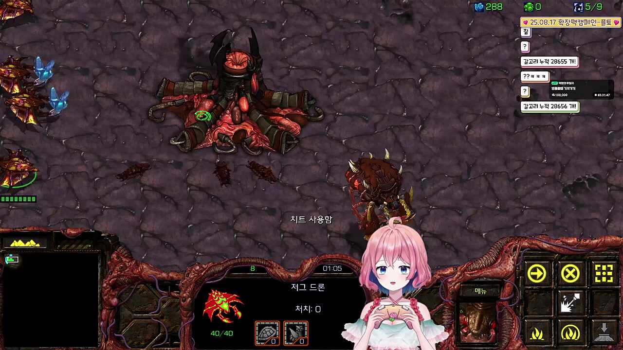 zoom 치트가 신기한 아로