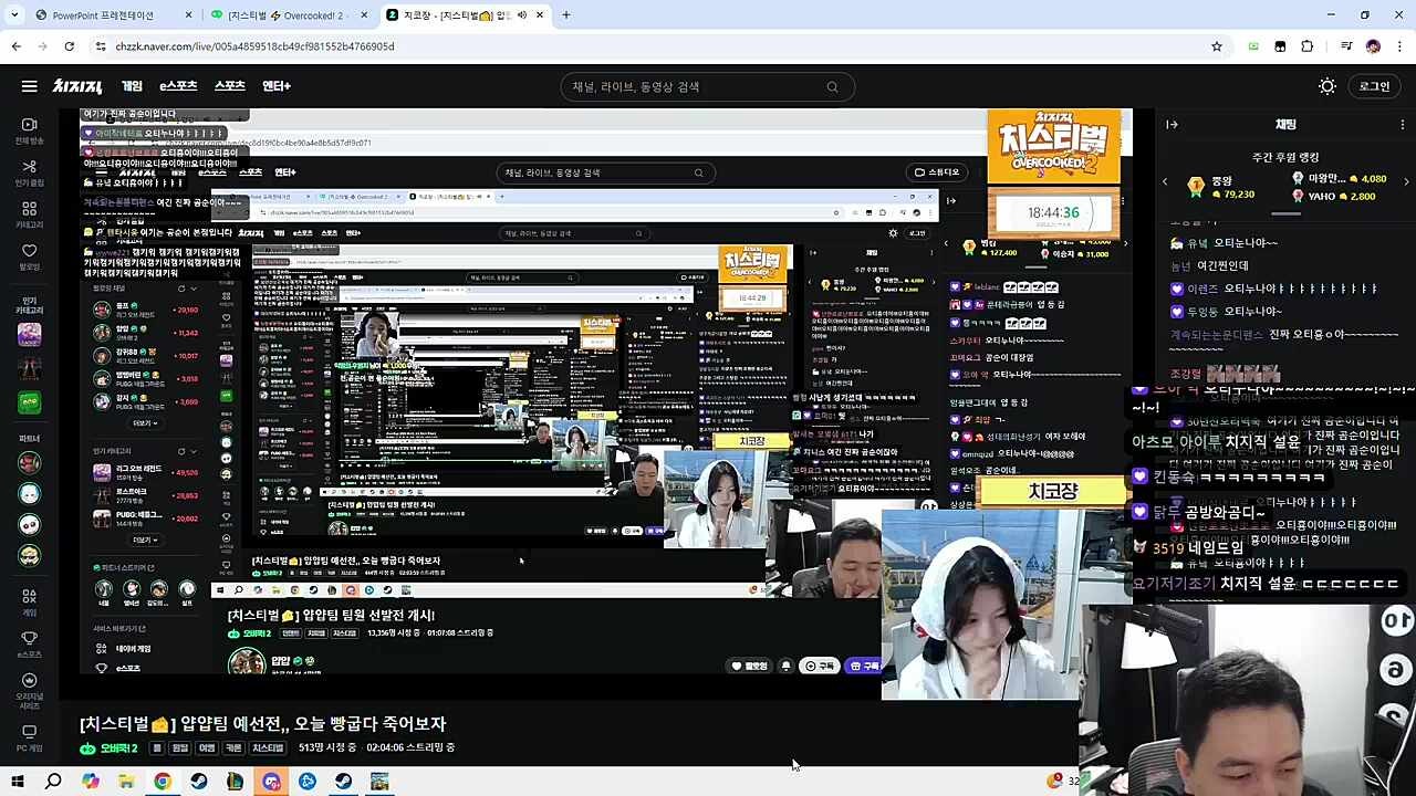진짜곰순이 치코1
