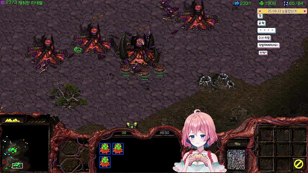 싸가지 없는 테란 거지같은 KMC색히들!