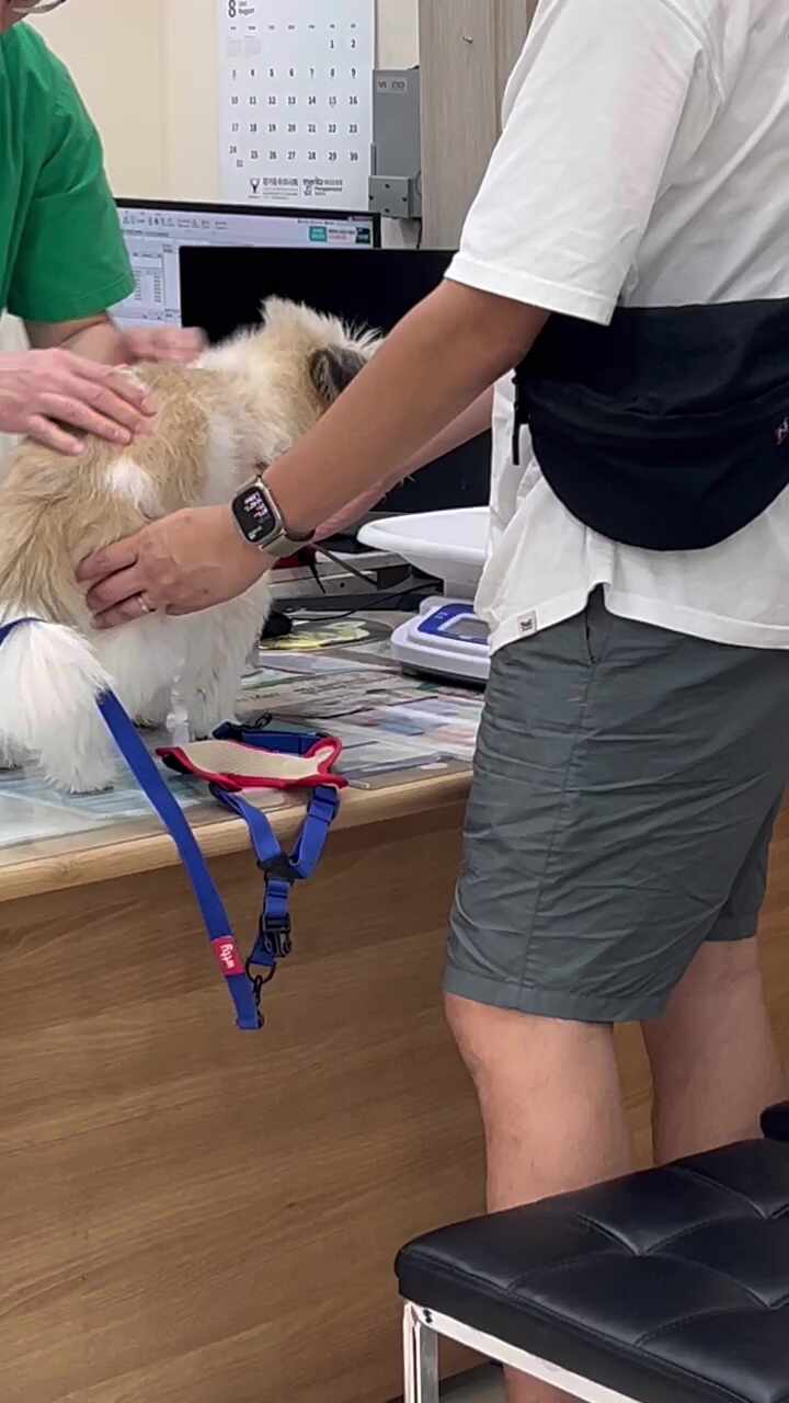 이매 동물병원 사진 4