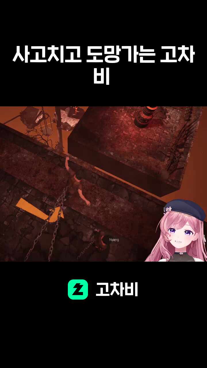 사고치고 도망가는 고차비 