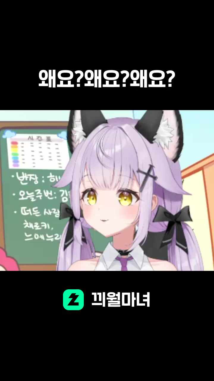 왜요?왜요?왜요?
