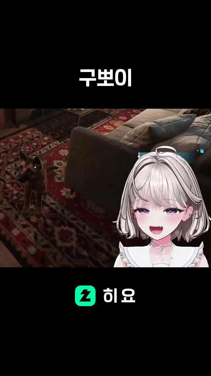 구뽀이