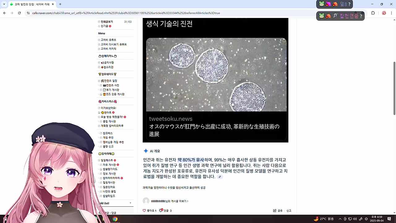 이게 무슨